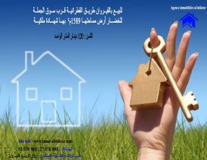 0390 - تم -للبيع بالقيروان طريق القطرانية